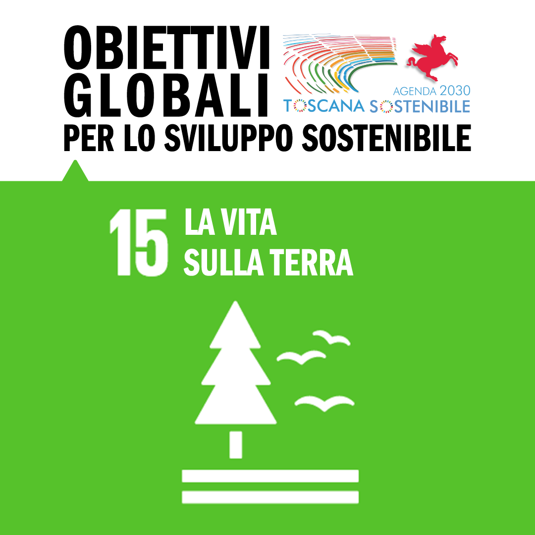Obiettivo 15